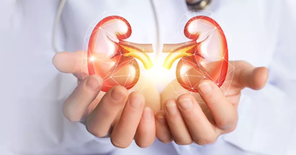 Understanding Chronic Kidney Disease CKD