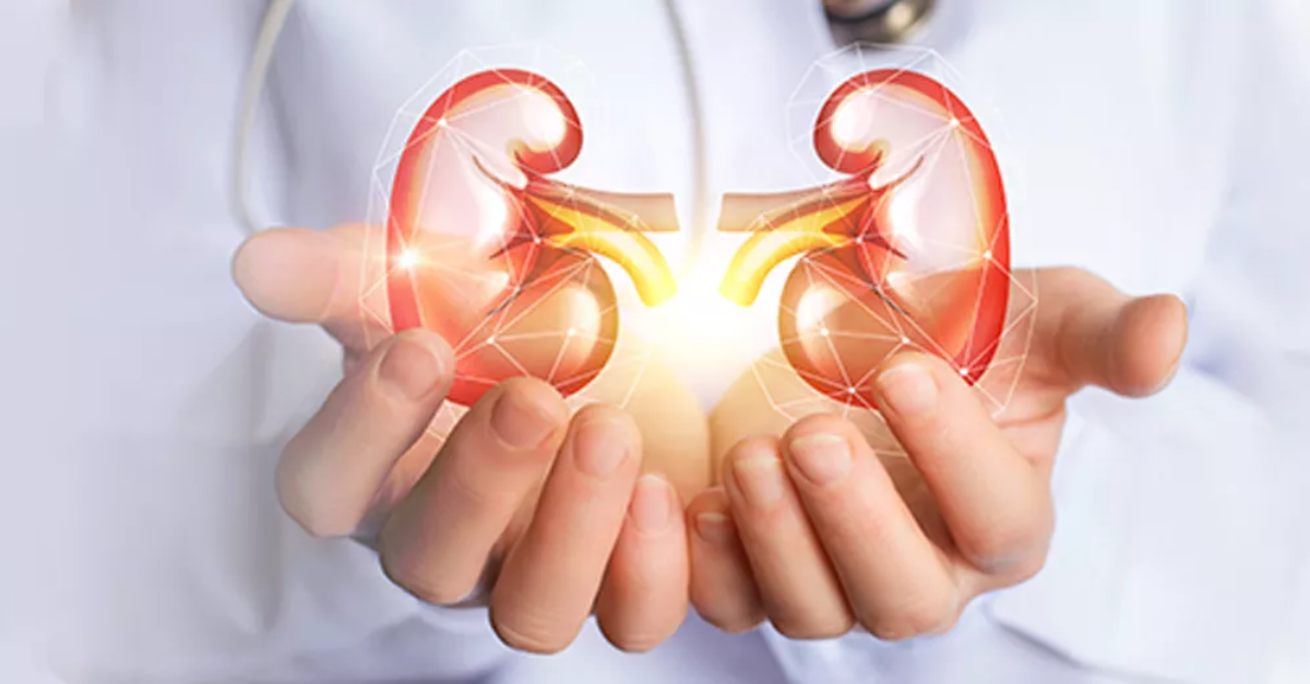 Understanding Chronic Kidney Disease CKD